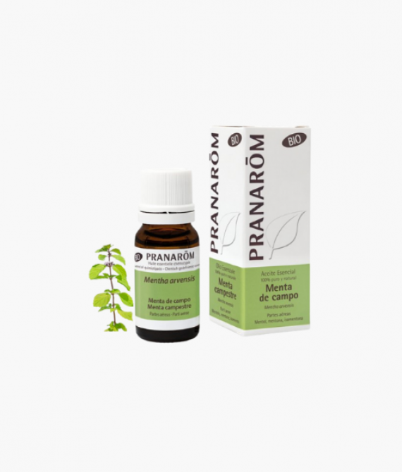 Pranarom Menta De Campo Aceite Esencial